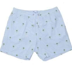 Bermies Mens Swim Trunk In Palm Stripes -Tial Muse Shop 9