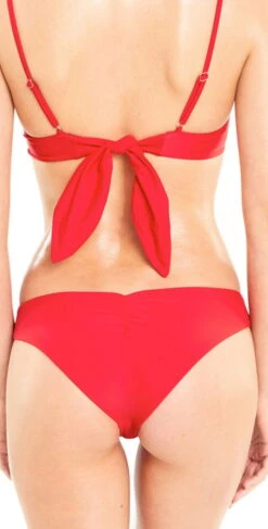 Wildfox Isabelle Bikini Bottom In Red