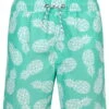 Snapperrock Boy's Mint Pineapple Board Short B90034P -Tial Muse Shop Snapperrock Boy 27s mint pineapple pool boardie short B90034P 281 29
