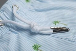 Bermies Mens Swim Trunk In Palm Stripes -Tial Muse Shop classicpalm1