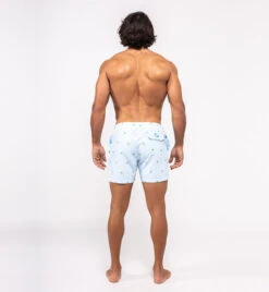 Bermies Mens Swim Trunk In Palm Stripes -Tial Muse Shop classicpalmback