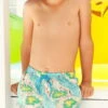 Little Peixoto Boys Swim Trunks In Island Hopping B800-P61 -Tial Muse Shop little peixoto 2018 B800 P61 TRUNKS